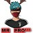 MR PRO YT