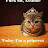 Lisa Spay and Neuter Avatar