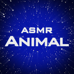 Animal ASMR net worth