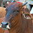 logtothebase2 Avatar