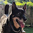 Emily Nicole Avatar