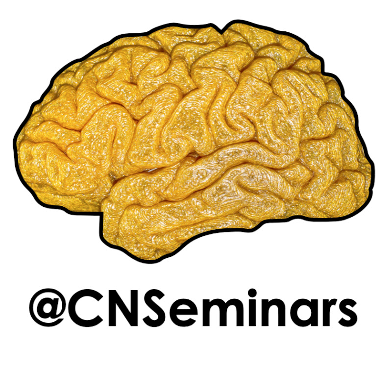Clinical Neuroanatomy Seminars