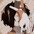 Neha Dhurwey Avatar