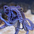 Violet Dream Avatar