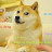 Sheba Doge