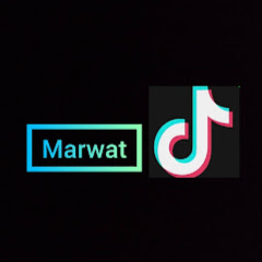 Marwat Tiktok net worth