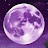 shaik anwar Avatar