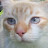 Geoff Brown Avatar