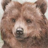 В каком порядке можно работать с терминалом и основными платежными операциями