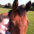 Megsie1410_Equestrian