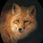 YouTube profile photo of Autumn Fox