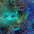 Coral Addict Avatar
