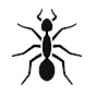My Ants - Канал о Муравьях