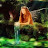 Nilsy1016 Avatar