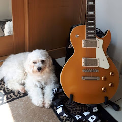 Thumbnail of related channel