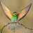 Sandman tk Avatar