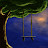 Hex Moss Avatar