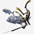 Буртас TV Avatar