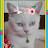 snowbelle