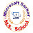 Microsoft Sarker
