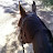 JennyWren GiddyUp