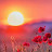 Sun Val Avatar