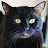 Patricia S Avatar