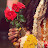Shabbir Ahmad Avatar