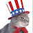 Patriotic Cat