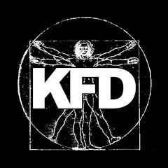 KFD.pl net worth