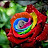 padma pilla Avatar