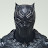 Experiment Panther