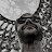Carlos Costa Avatar