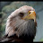Joe Joe Avatar