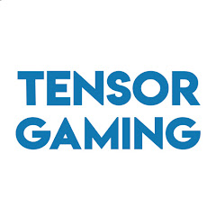 Tensor Gaming net worth