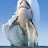 Shark Arise Avatar