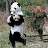SehxualPanda