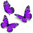 Purple Butterflies68