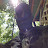 Wesley Warsmith Avatar
