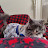 KimiCat Cyprowski Avatar