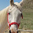 Suzy Riding
