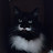 Cat Man Avatar