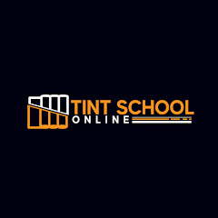 TintSchoolOnline net worth