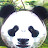 Panda Home