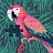 Talha Shahbaz Avatar