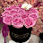 Ramsha Afreen Avatar