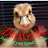 DuckGuide
