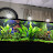 Kevs Hi Tek Tanks Avatar