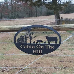 Cabin on the Hill net worth