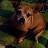 Ozzy DukeBella Avatar